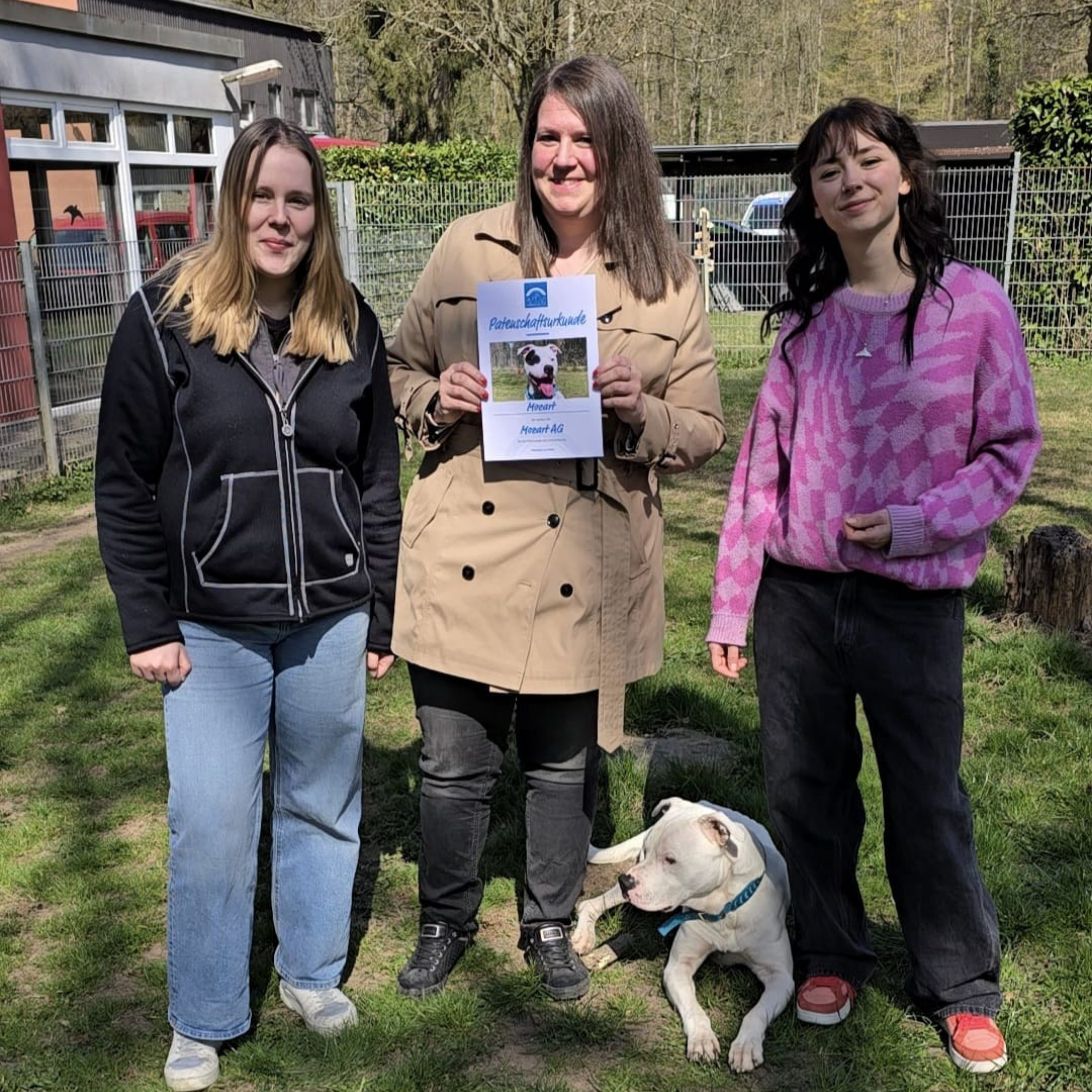 Patenschaft Hund Mozart